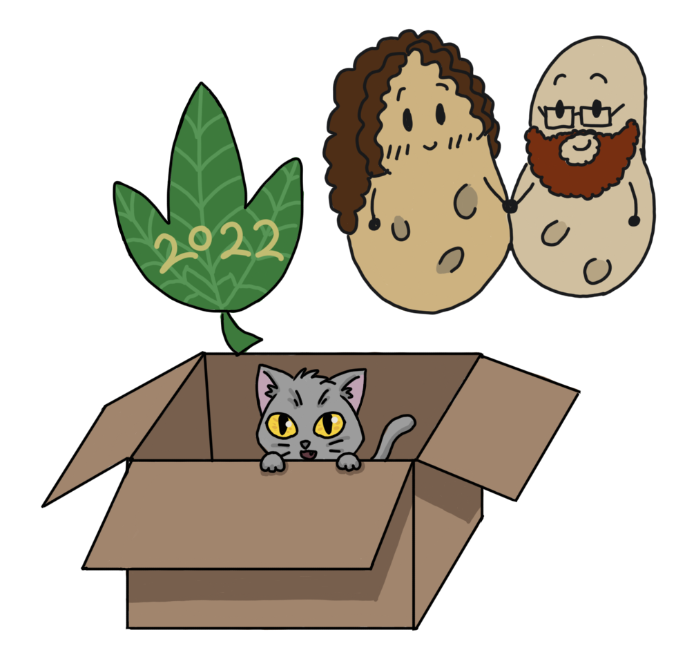 Logi and Patty as potatoes and their kitten Matcha in a box